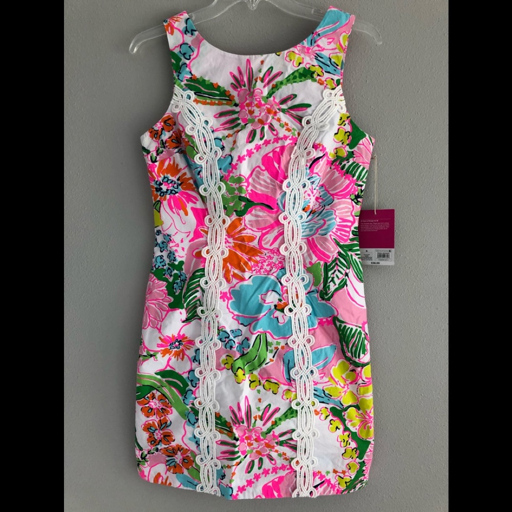Lilly Pulitzer Floral Dress in Pink and Green